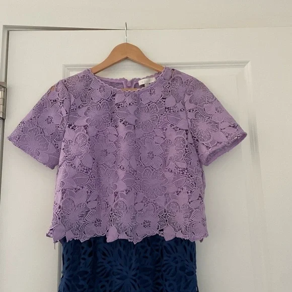 Anthropologie Eri + Ali Graceanne Colorblock Lace Sheath Dress - Picture 7 of 7